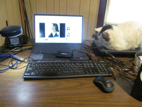 IMG_2645 Flash Music.JPG